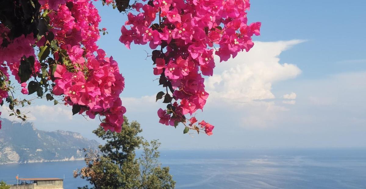 Villa Grace Amalfi Seaview Eksteriør bilde
