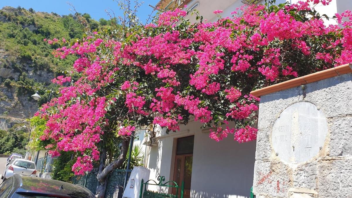 Villa Grace Amalfi Seaview Eksteriør bilde