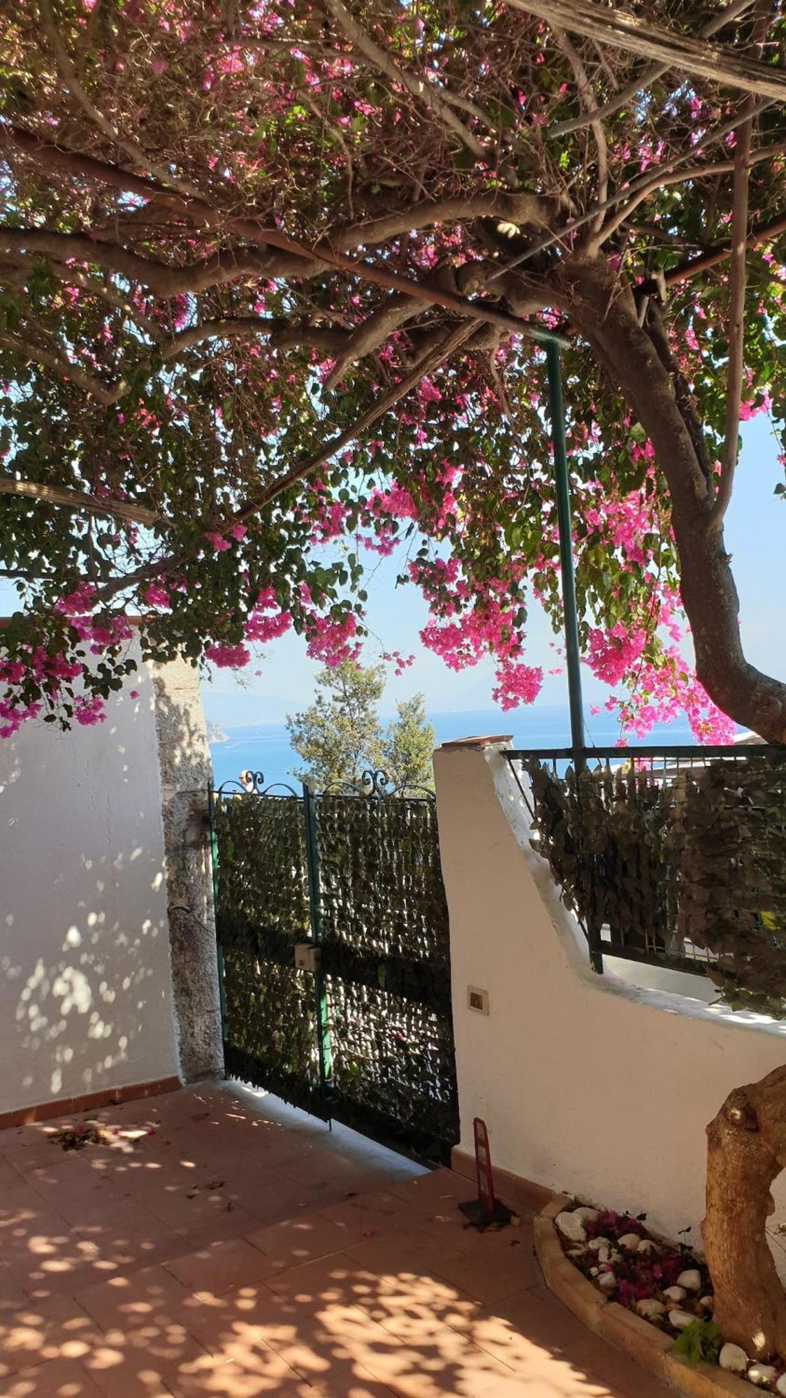 Villa Grace Amalfi Seaview Eksteriør bilde