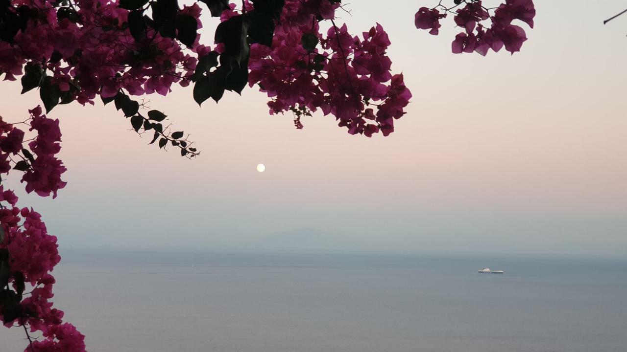 Villa Grace Amalfi Seaview Eksteriør bilde